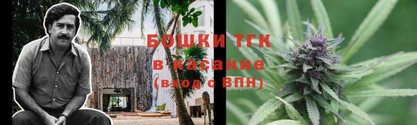 ПСИЛОЦИБИНОВЫЕ ГРИБЫ Бородино